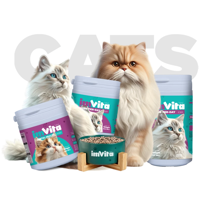 Healthy cats with ImVita cat supplements – daily wellness, dental care, and digestive support for cats