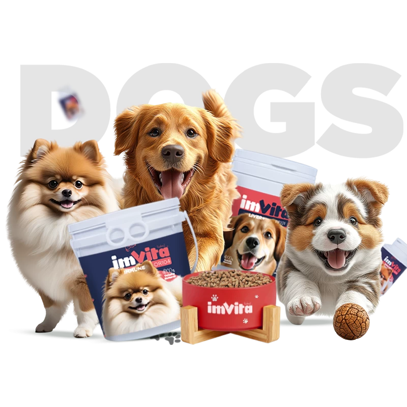 Happy dogs with ImVita pet supplements – natural health and immunity support for puppies and adult dogs