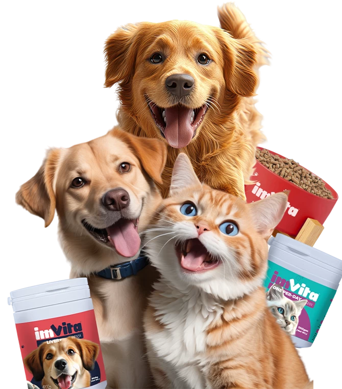 Happy dogs and cat with ImVita pet supplements – showcasing health benefits and fermentation-based nutrition