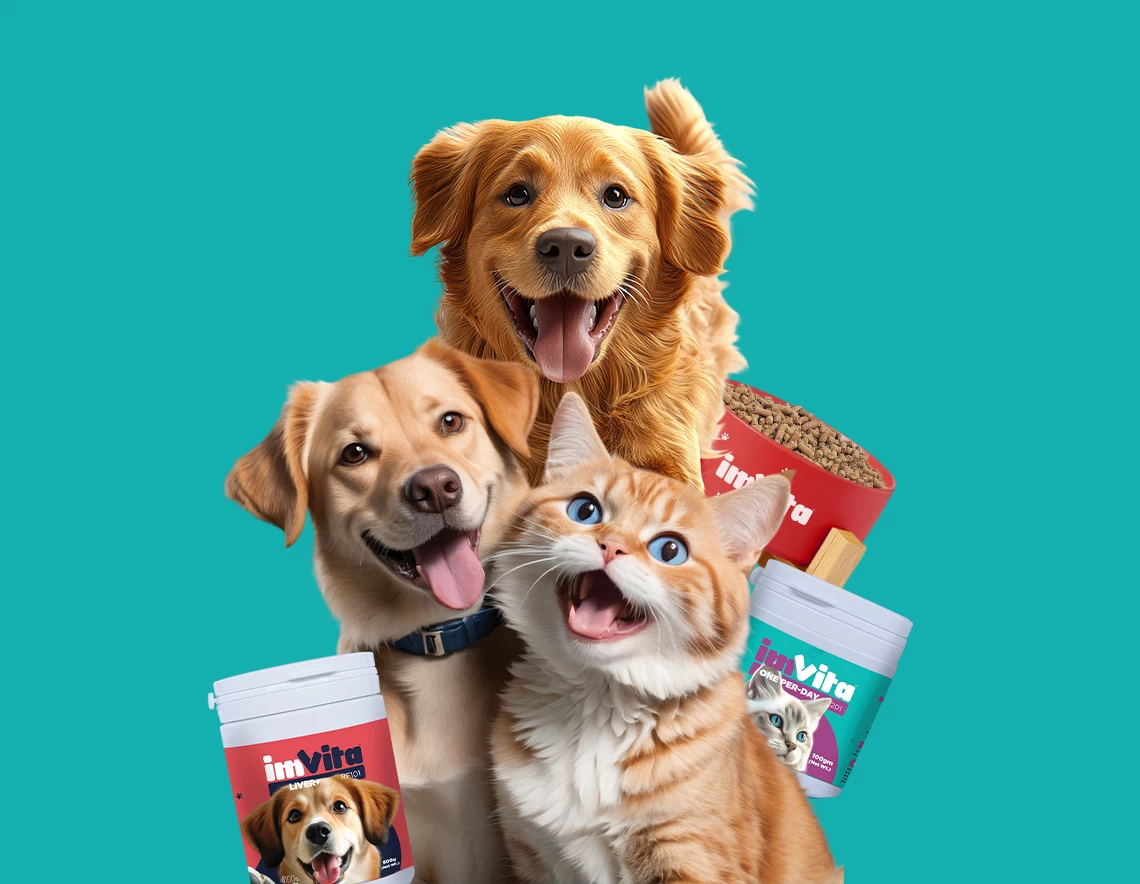 Happy dogs and a cat with ImVita pet supplements – promoting daily wellness and natural nutrition